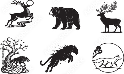 wild animals collection