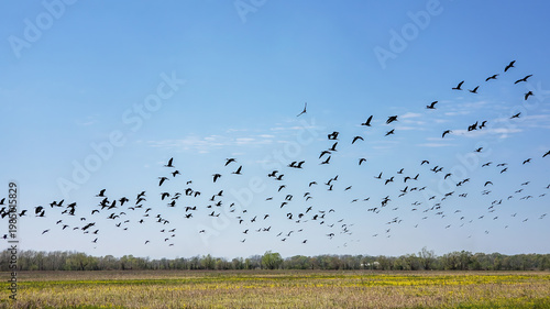 Elbow Slough Wildlife Management Area in Louisiana