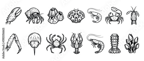 Collection of various hand-drawn marine crustaceans and shellfish, depicted in a detailed black and white sketch style, isolated on a clean white background