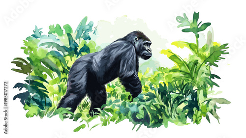 Bwindi Impenetrable Forest - Gorilla Trekking. Bwindi Impenetrable Forest - Gorilla Trekking hand drawn watercolor illustration on white background