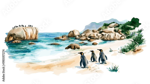 Boulders Beach Penguins. Boulders Beach Penguins hand drawn watercolor illustration on white background