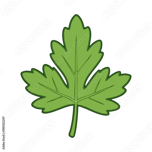 vector green leaf on white background