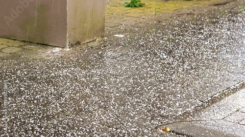 Hailstorm Falling on Cobblestone Courtyard – Heavy Ice Pellets Bouncing on Wet Pavement