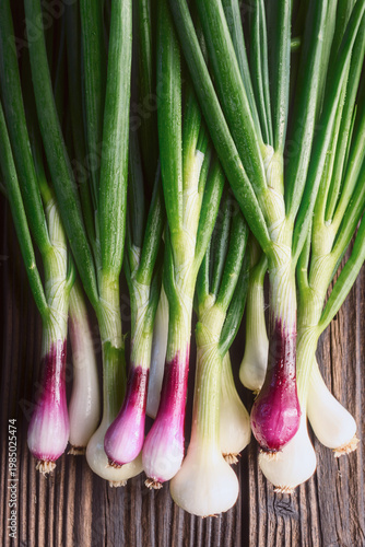 Vertical composition of spring onions with long green leaves on wooden surface. Fresh scallions close view, white and purple bulbs in natural light