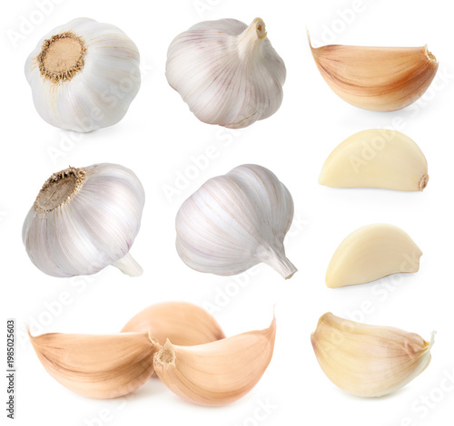 Garlic bulbs and cloves isolated on white, set