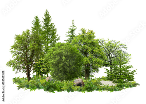 Different green trees and vibrant plants on white background