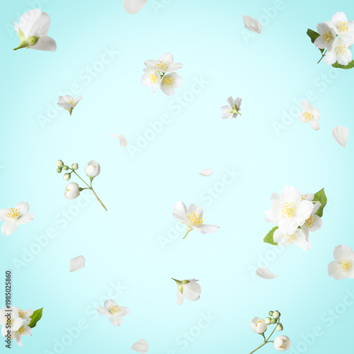 Fragrant jasmine flowers falling against light turquoise background