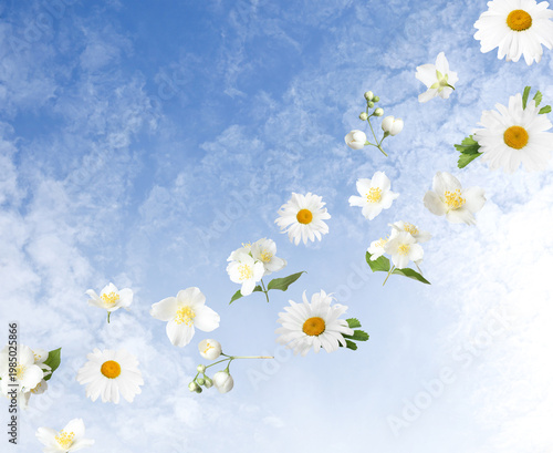 White flowers flying in air against blue sky