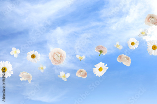 Tender flowers flying against blue sky in spring
