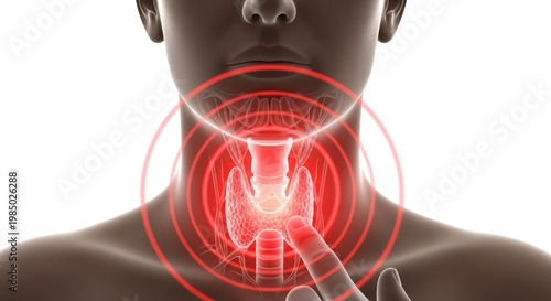 Human neck anatomy, visualization of thyroid gland, highlighted in red, indicating inflammation, pain, endocrine system disease, crucial for diagnosis, health awareness, and comprehensive treatment