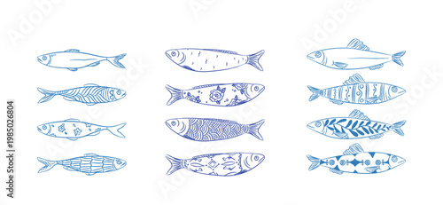 Sardine Pattern Set Hand Drawn