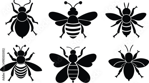 Black and white bee illustrations a collection of insect designs