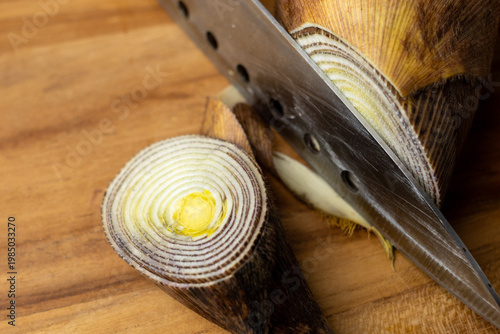 Fotografie Cross section of bamboo shoot / たけのこの断面クローズアップ