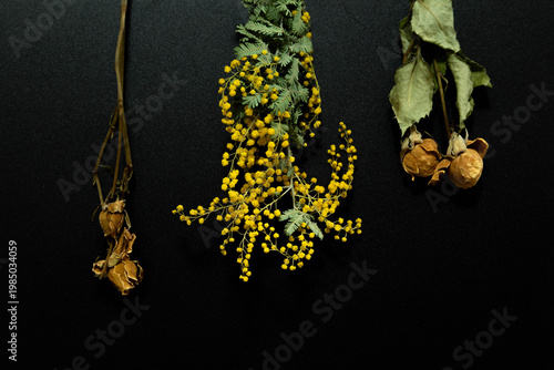 ミモザとバラのドライフラワー