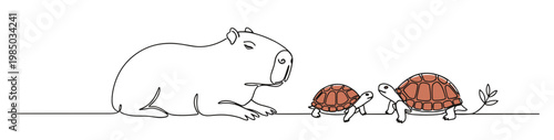 Capybara and turtles together on minimal background