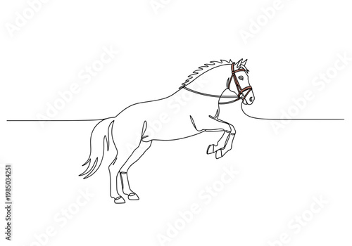 Horse jumping in motion on minimal background