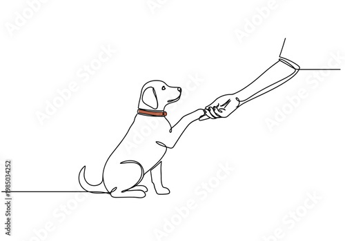 Puppy learning to shake hands with owner on minimal background