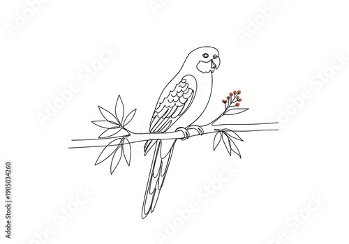 Rosella parrot in the wild perched on branch minimal line art