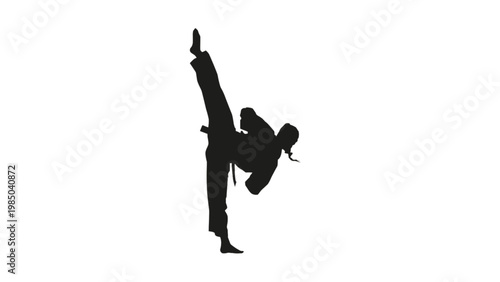 Side View Silhouette of Female Martial Artist Performing High Kick