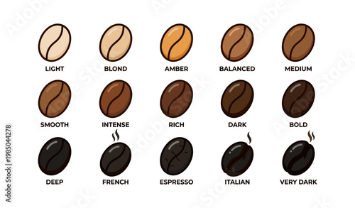 Coffee bean roast levels from light to very dark illustrated guide