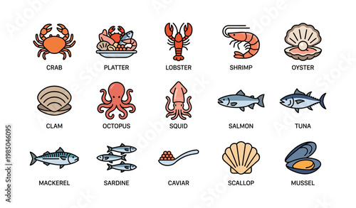 Seafood varieties: crab, lobster, shrimp, oyster, fish, and more illustrated