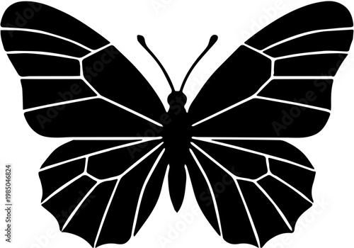 butterfly silhouette vector