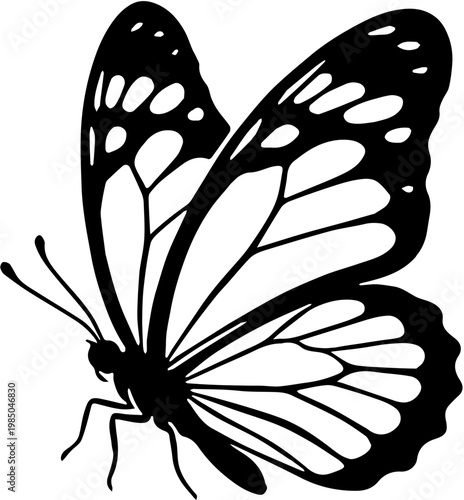 butterfly silhouette vector