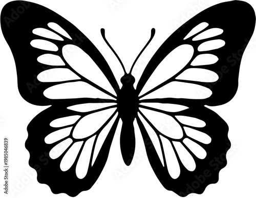 butterfly silhouette vector