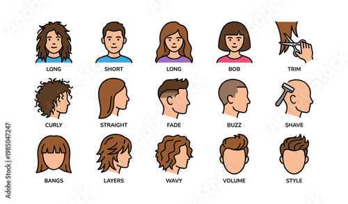 Diverse hairstyles and haircuts illustration: long, short, curly, straight, bob, fade, buzz