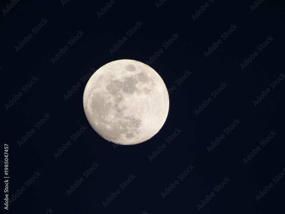 Fototapeta premium Vollmond am Nachthimmel