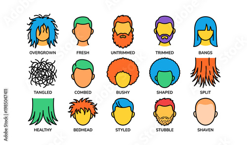 Illustrated hair styles and conditions: overgrown, fresh, trimmed, bangs, tangled, combed, bushy, shaped, split, healthy