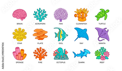 Colorful marine life icons featuring coral, fish, and sea creatures