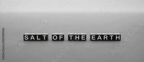 A close-up image featuring the words 'SALT OF THE EARTH' in large, capital letters against a textured background. The focus is sharp and the lighting emphasizes the texture and depth.