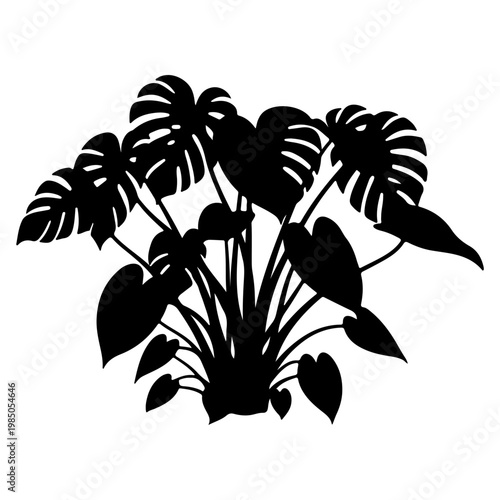 Monstera Deliciosa Plant Silhouette.
