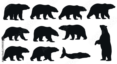 Polar Bear Silhouettes Collection - Arctic Wildlife