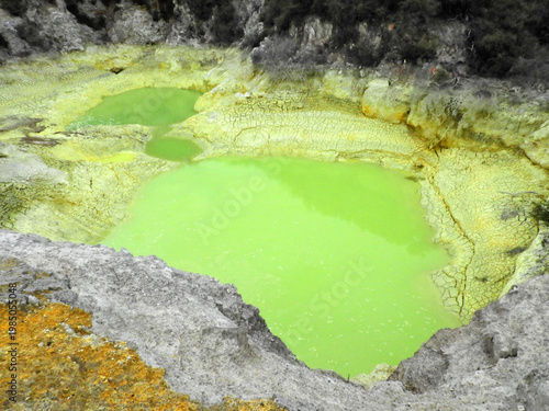  the neon-green acidic waters of devil's bath hot springs in the waiotapu thermal wonderland near rotorua, on the north island of new zealand,  on a summer day