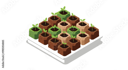 Small plants in colorful pots on tray.