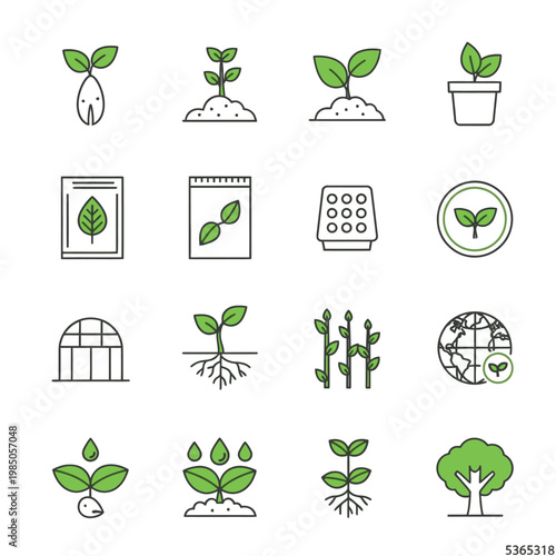 Plant growth icons and seedlings illustrations 1.