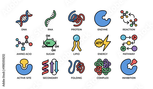Colorful icons representing dna, rna, proteins, enzymes, and metabolic pathways