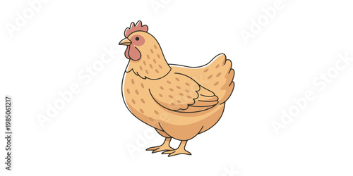 Farm Chicken Vector Illustration with Simple Clean Style