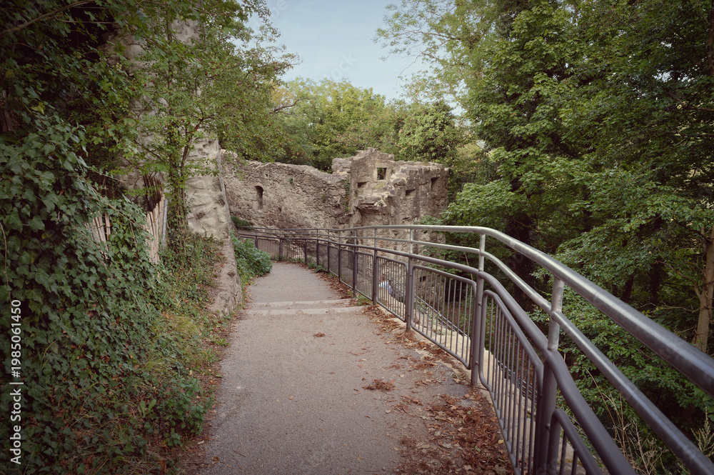 Fototapeta premium Paved hiking path with metal railings leading to the medieval castle ruins of Drachenfels, surrounded by green forest in the Siebengebirge