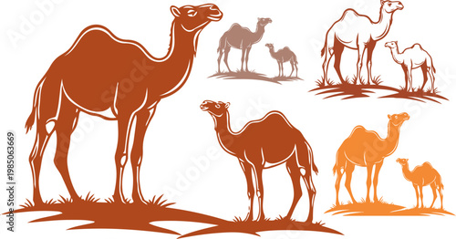 Camel silhouette vector set, desert dromedary animal illustrations, brown and orange camel icons, wild safari mammal graphics for travel design
