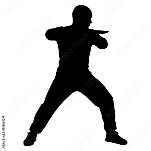 Silhouette of a man performing a martial arts stance.