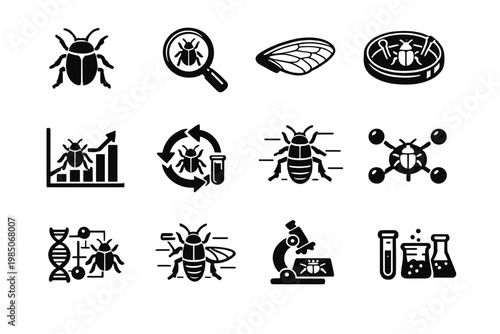 Arrows entomology structure research simple vector fill generation image icon observation icons