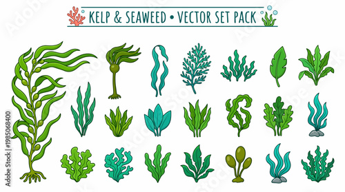 Vector set of kelp and seaweed isolated illustrations in cartoon style
