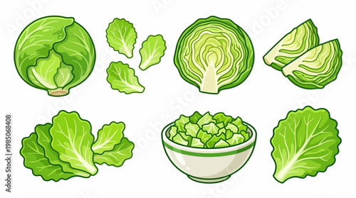 Iceberg Lettuce Set with Whole Head Cross Section and Salad Bowl Illustration