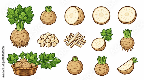 Celeriac cartoon illustration set with whole root vegetable slices and cubes