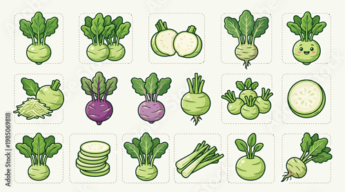 Kohlrabi cartoon illustration set with green and purple varieties whole and sliced