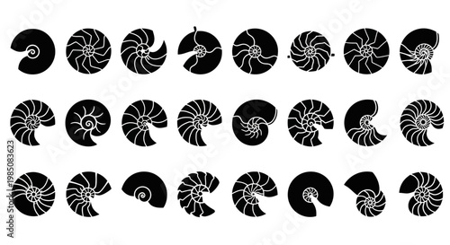 Black Nautilus Shell Icons, Spiral Fossil Symbols, Oceanic Emblems, 20 Vector Graphics
