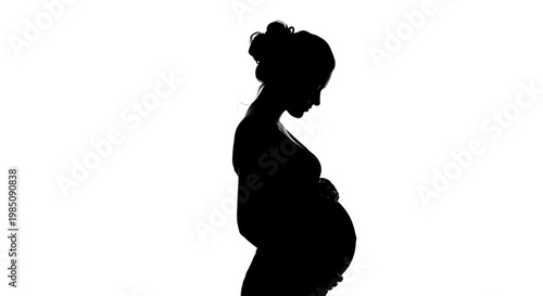 A pregnant woman in silhouette against a white background